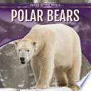 Polar Bears cover