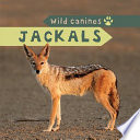 Jackals cover