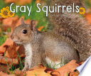 Gray Squirrels cover