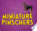 Miniature Pinschers cover
