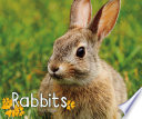 Rabbits cover