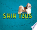 Shih Tzus cover