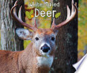 White-Tailed Deer cover
