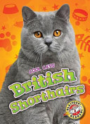 British Shorthairs cover