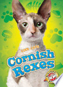 Cornish Rexes cover