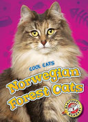Norwegian Forest Cats cover