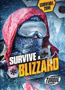 Survive a Blizzard cover