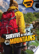 Survive in the Mountains cover