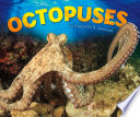 Octopuses cover