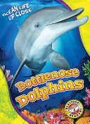 Bottlenose Dolphins cover