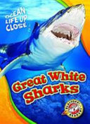 Great White Sharks cover