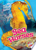 Sea Horses cover