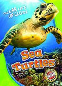 Sea Turtles cover