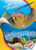 Stingrays cover