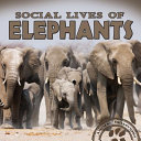 Social Lives of Elephants cover