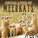 Social Lives of Meerkats cover