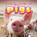 Social Lives of Pigs cover