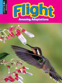 Flight (Lightbox) cover
