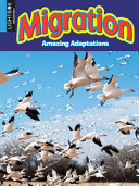 Migration (Lightbox) cover