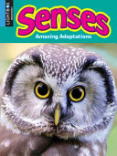 Senses (Lightbox) cover