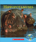 Hippopotamuses cover