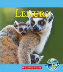 Lemurs cover