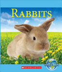 Rabbits cover