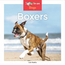 Boxers cover