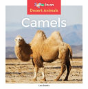 Camels cover
