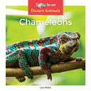 Chameleons cover