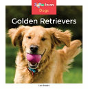 Golden Retrievers cover