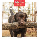 Labrador Retrievers cover