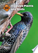 Invasive Plants and Birds cover