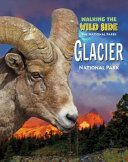 Glacier cover