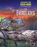 The Everglades cover