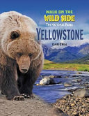 Yellowstone cover