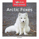 Arctic Foxes cover