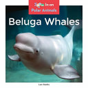 Beluga Whales cover