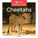 Cheetahs cover
