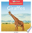 Giraffes cover
