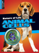 Animal Cells (Lightbox) cover