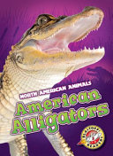 American Alligators cover