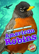 American Robins cover