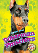 Doberman Pinschers cover