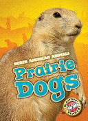 Prairie Dogs cover