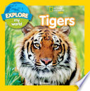 Tigers cover