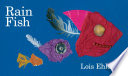 Rain Fish cover