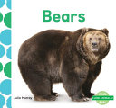 Bears cover