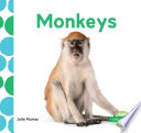 Monkeys cover