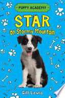 Star on Stormy Mountain cover